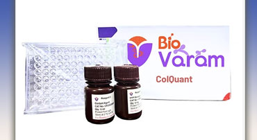 ColQuant <sup> TM</sup> - Collagen Quantification Kit